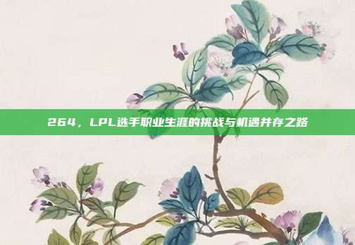 264，LPL选手职业生涯的挑战与机遇并存之路