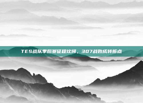 TES战队季后赛征程坎坷，307战败成转折点