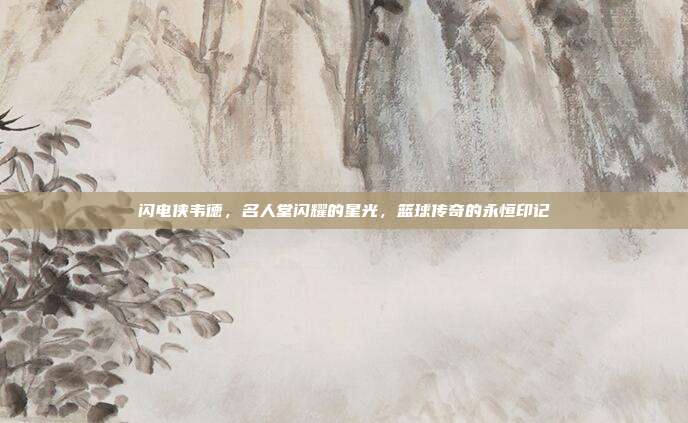 闪电侠韦德，名人堂闪耀的星光，篮球传奇的永恒印记