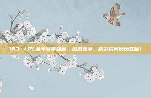 163. LPL全年赛事回顾，激烈竞争，精彩瞬间历历在目！