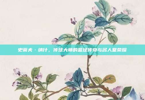 史蒂夫·纳什，传球大师的篮球传奇与名人堂荣耀