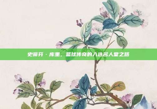 史蒂芬·库里，篮球传奇的入选名人堂之路