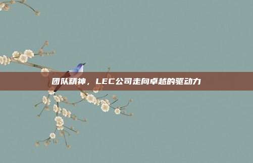 团队精神，LEC公司走向卓越的驱动力